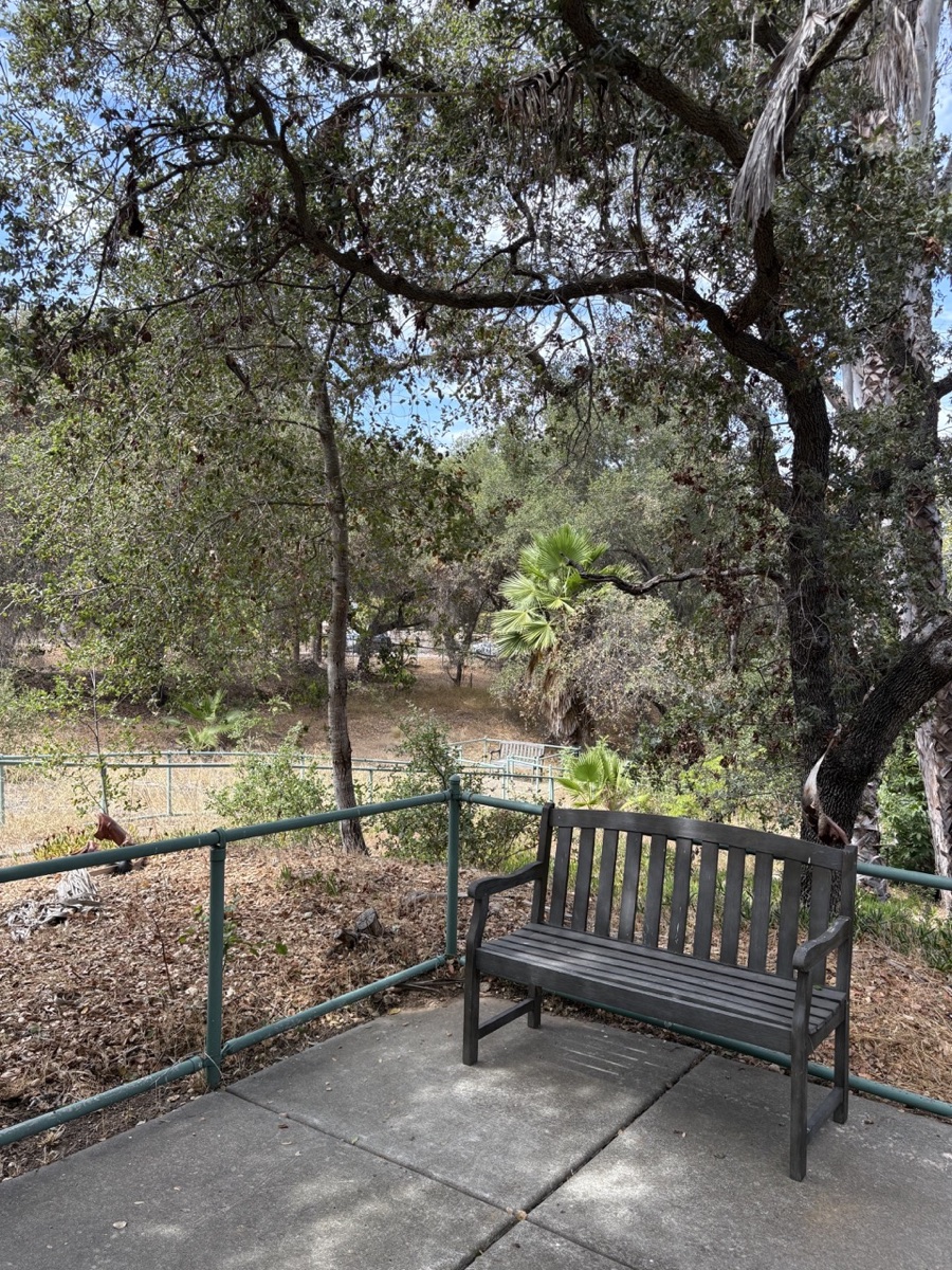 Accessible garden walkway